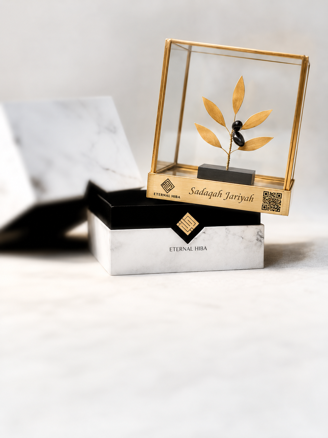 Eternal Hiba glass display box with olive tree model